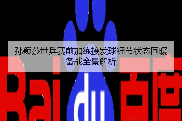 孙颖莎世乒赛前加练接发球细节状态回暖备战全景解析