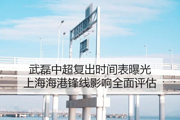 武磊中超复出时间表曝光 上海海港锋线影响全面评估