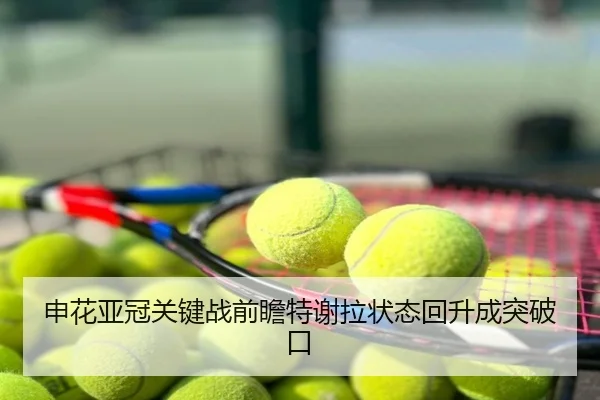 申花亚冠关键战前瞻特谢拉状态回升成突破口